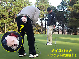 �i�C�X�p�b�g